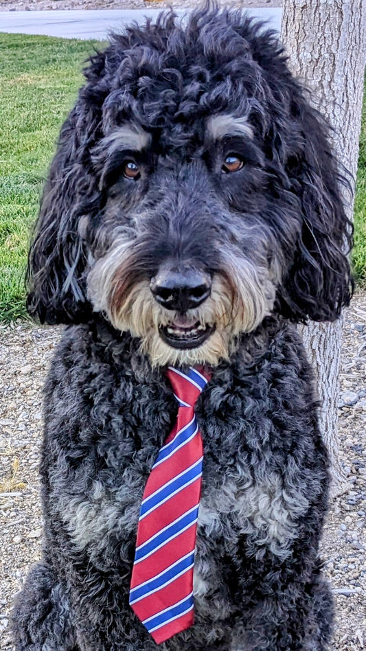 Red Stripe Tie