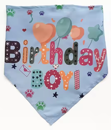 Birthday Boy Bandana