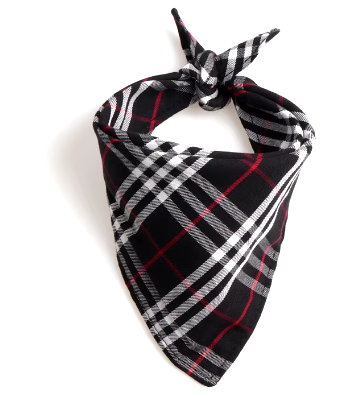 Burberry Plaid Bandana