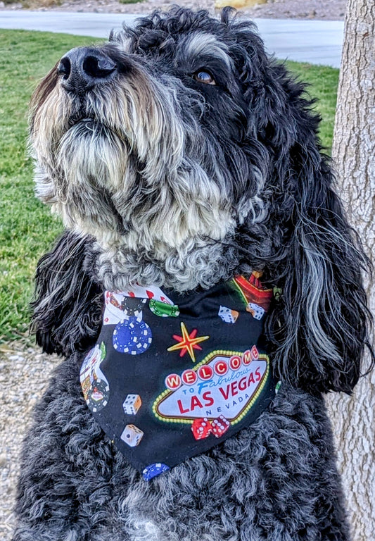 Las Vegas Casino Theme Bandana