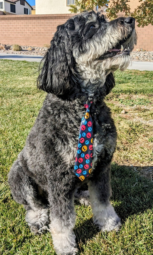 Smiley Face Tie