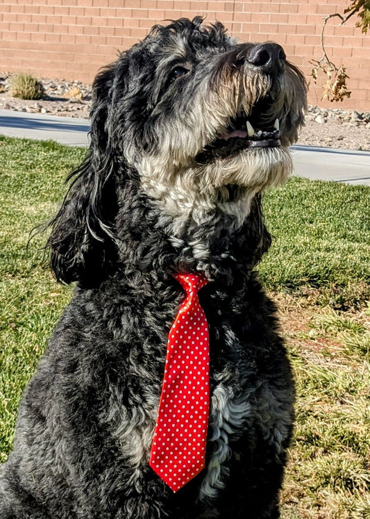 Red Polka Dot Tie