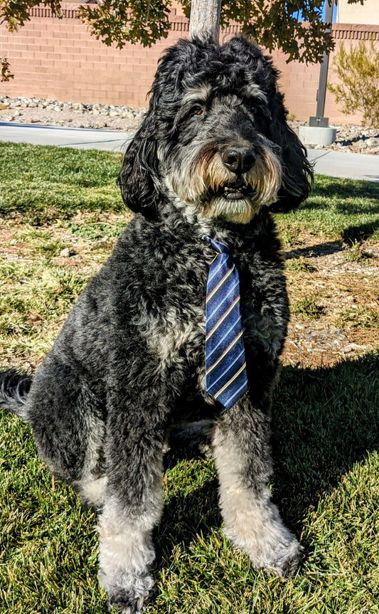 Blue Stripe Tie