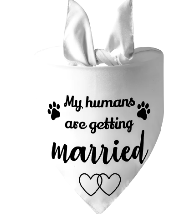 My Human is Getting Married Bandana