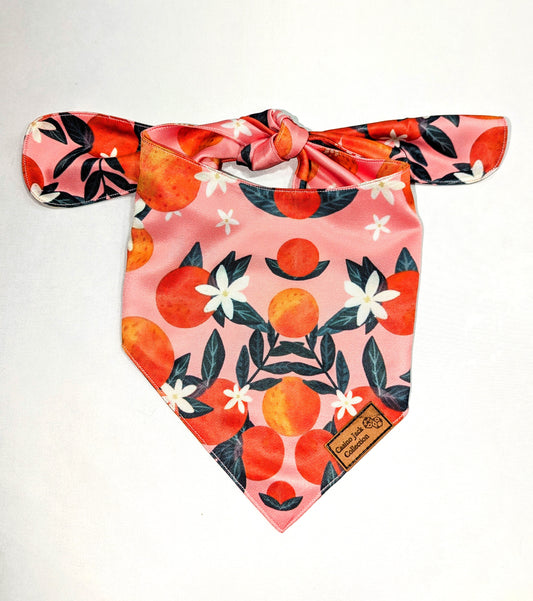 Orange Blossom Bandana