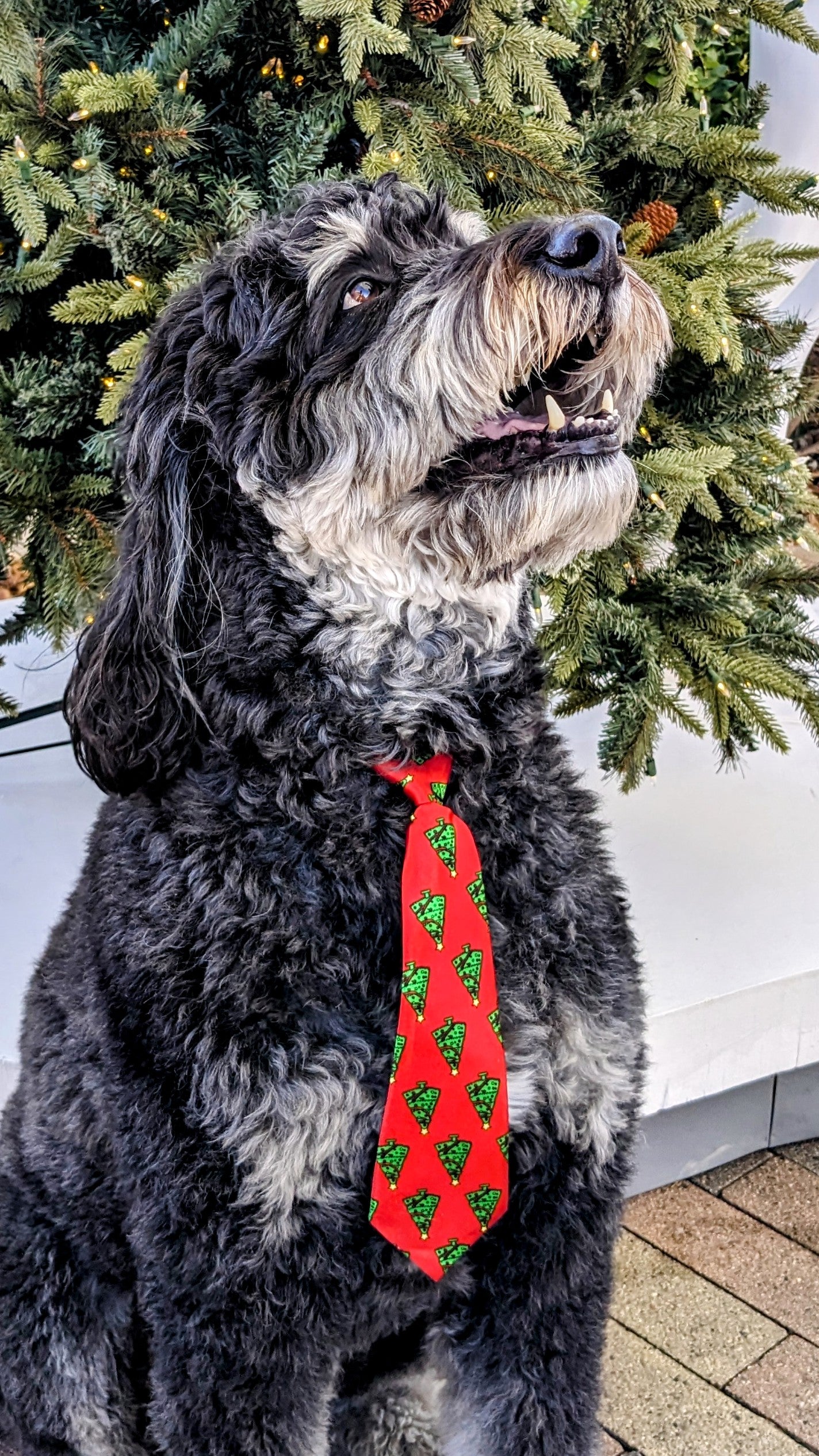 Christmas Red w/Green Xmas Trees Tie