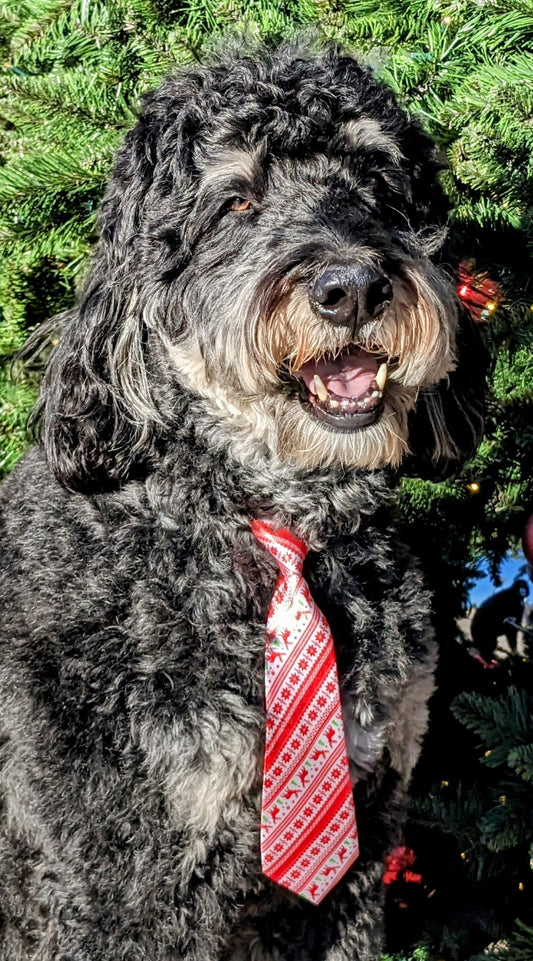 Christmas Red and White Stripe Tie