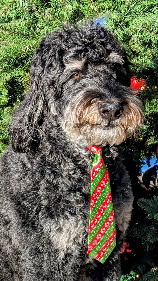 Christmas Red w/Green Stripe Tie