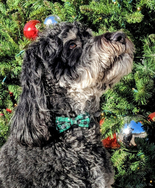 Christmas Collar w/Bow