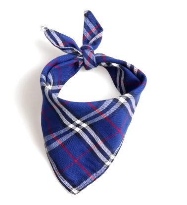 Burberry Plaid Bandana