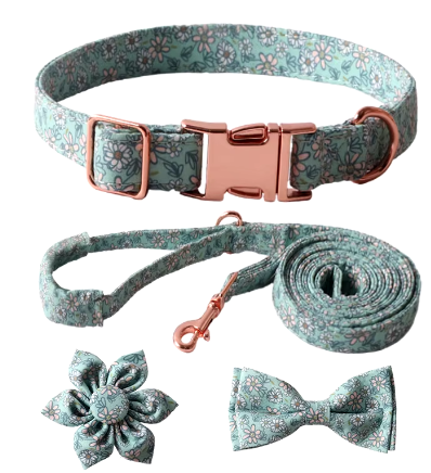 Collar/Leash/Bow/Flower Set (Green)