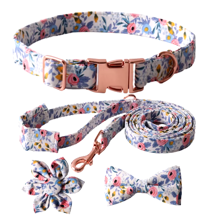 Collar/Leash/Bow Set (Pink)