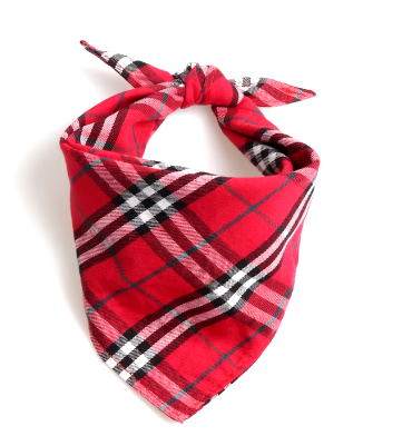 Burberry Plaid Bandana